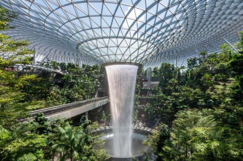 The Impact of Biophilic Design: Creating Nature-Inspired Spaces for ...